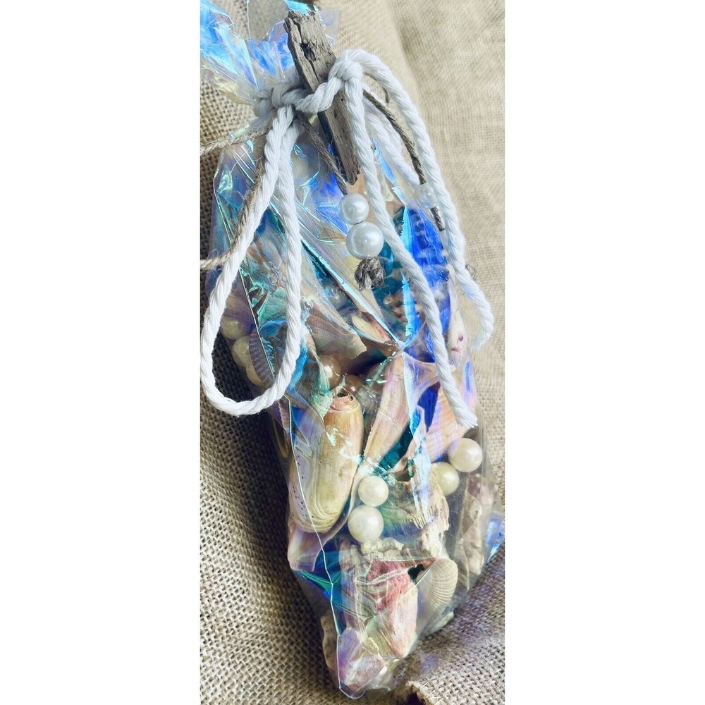 Gift Bag Of Beautiful Seashells Sourced From Coastal SE Georgia And NE Florida - Picture 3 of 16